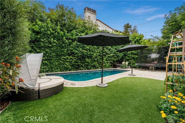 backyard pool view