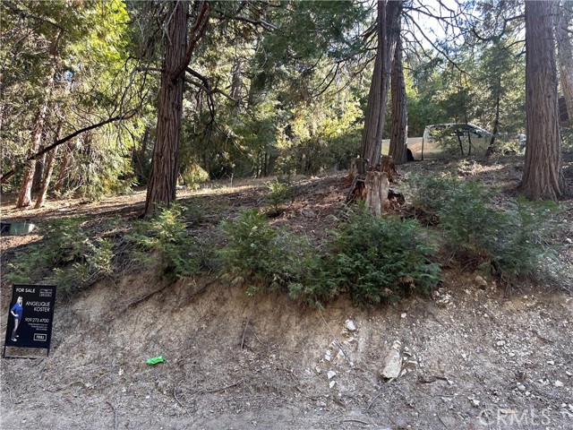 0 Alder Terrace, Cedar Glen, California 92321, ,Land,For Sale,0 Alder Terrace,CREV24034135