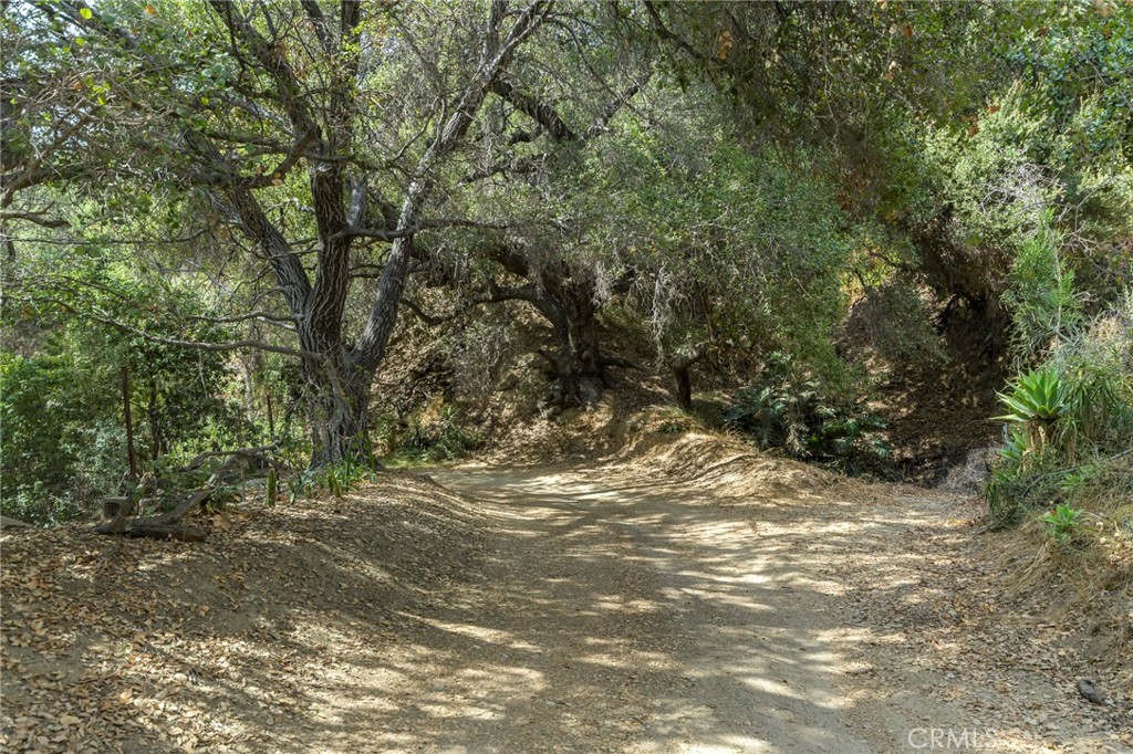 MLS #GD26193794 image #64