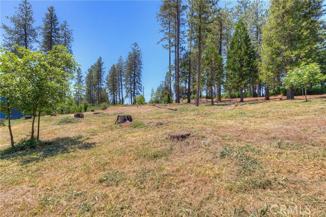 Detail Gallery Image 13 of 15 For 9156 Skyway, Paradise,  CA 95969 - – Beds | – Baths