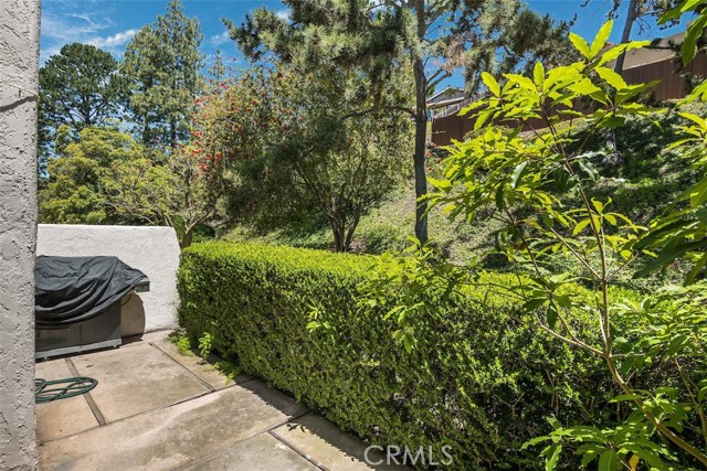 Enclosed and private Backyard patio