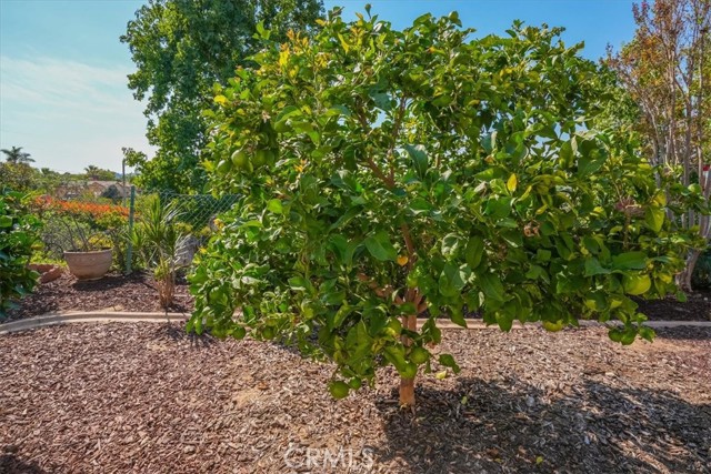 Detail Gallery Image 43 of 54 For 1073 Ridge Heights Dr, Fallbrook,  CA 92028 - 3 Beds | 2/1 Baths