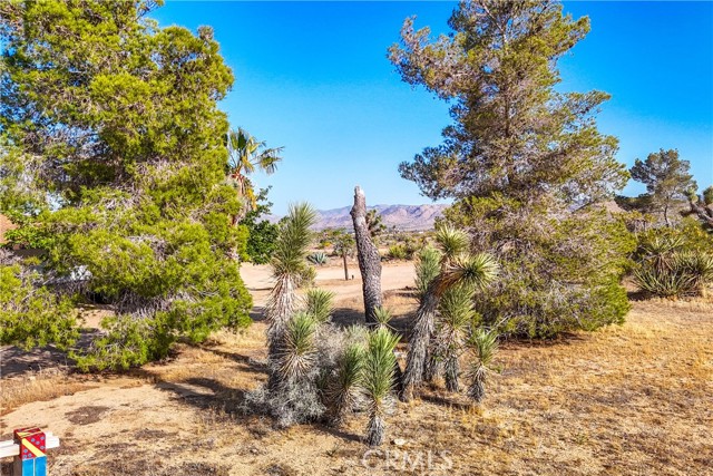 Detail Gallery Image 65 of 75 For 4191 Balsa Ave, Yucca Valley,  CA 92284 - 3 Beds | 3 Baths