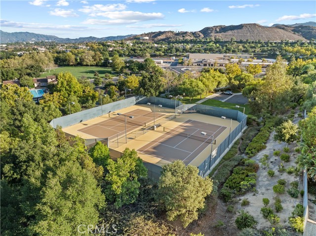 Image 55 of 60 For 25679 Smoketree