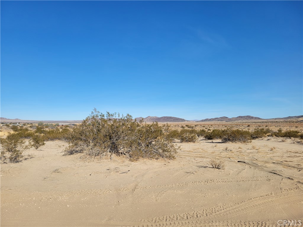 MLS #HD25267066 image #4