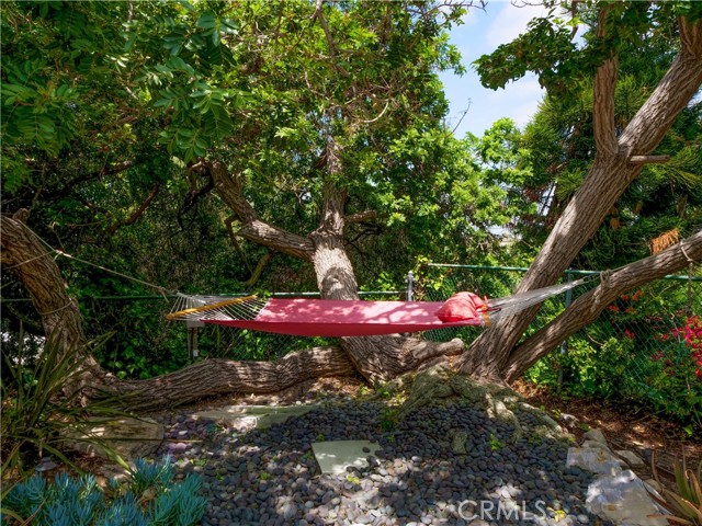 Fun Large Hammock