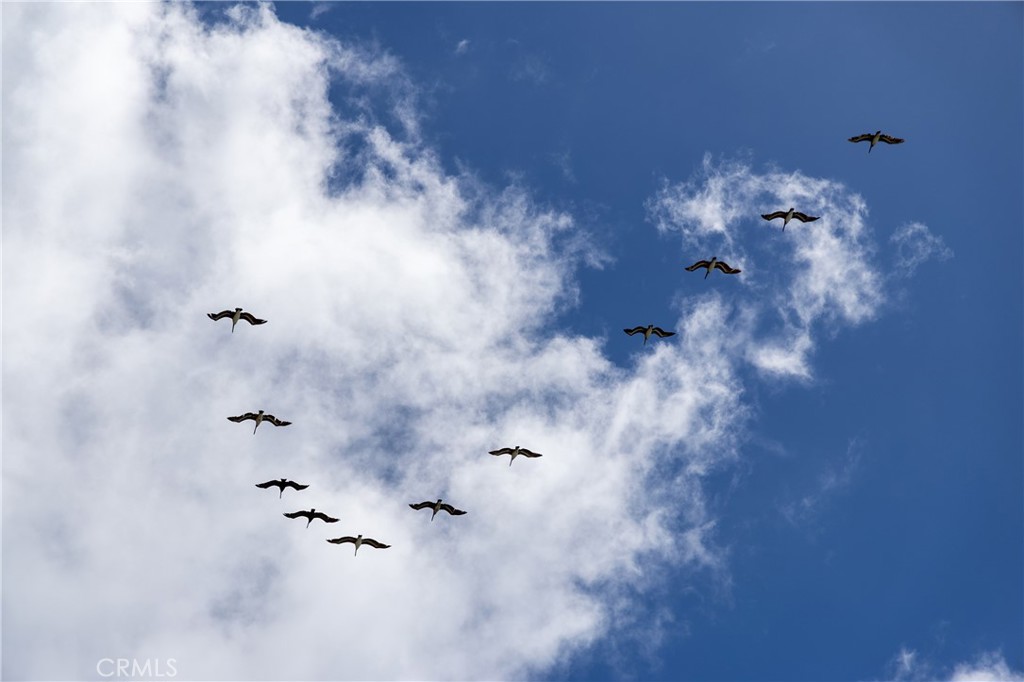 https://media.crmls.org/medias/b0beb4ab-4686-4589-926a-f0fcc75ce3d0.jpg?preset=X-Large