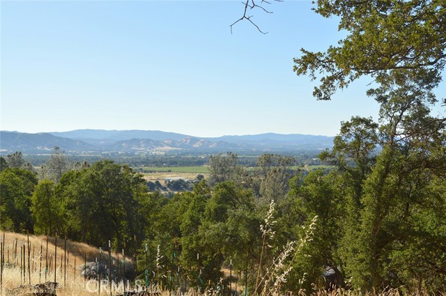 6765 S State Highway 29, Kelseyville CA: https://media.crmls.org/medias/b0bfedd5-5cec-445c-b410-dbcdc9387c8f.jpg