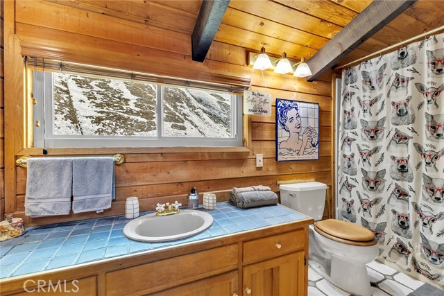 Detail Gallery Image 47 of 60 For 24560 Bluff Rd, Idyllwild,  CA 92549 - 2 Beds | 2 Baths