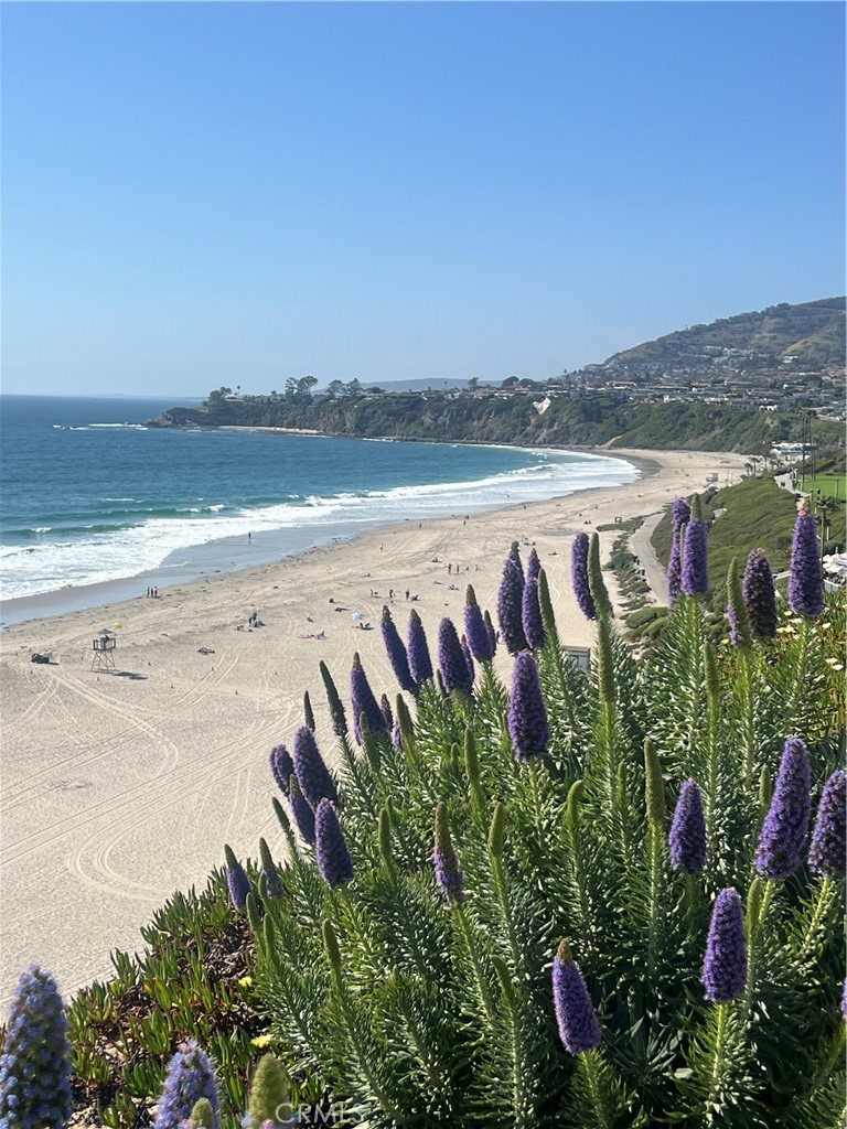 MLS #OC25073780 img 4