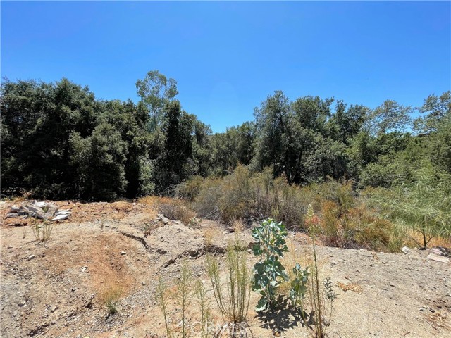 0 The Farm Rd, Wildomar, California 92595, ,Land,For Sale,0 The Farm Rd,CRSW22222726