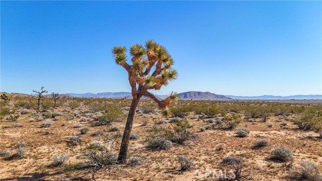 Detail Gallery Image 38 of 48 For 438 Sage Ave, Yucca Valley,  CA 92284 - – Beds | – Baths