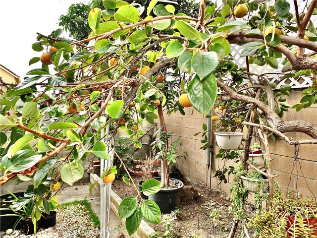 Detail Gallery Image 35 of 40 For 15121 Rancho Clemente, Paramount,  CA 90723 - 3 Beds | 2/1 Baths