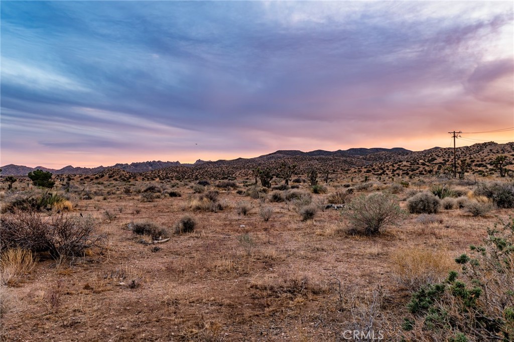 https://media.crmls.org/medias/b0db7ea0-6568-44b8-8f47-d02640bcc58a.jpg?preset=X-Large