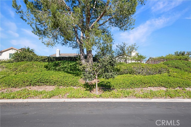 Image 2 of 52 For 28782 Bolanos