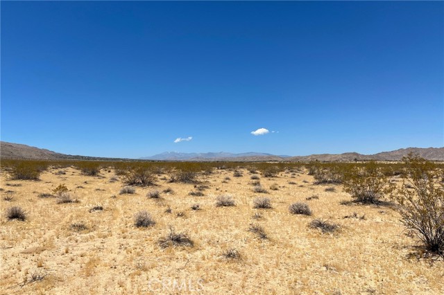 Detail Gallery Image 5 of 5 For 6335 Pelican, Joshua Tree,  CA 92252 - – Beds | – Baths