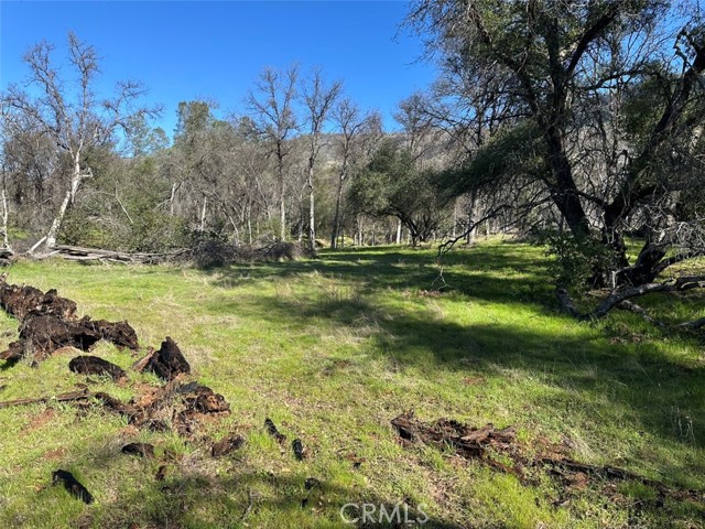 Detail Gallery Image 19 of 32 For 471 Ac - Hwy 49n, Mariposa,  CA 95338 - – Beds | – Baths