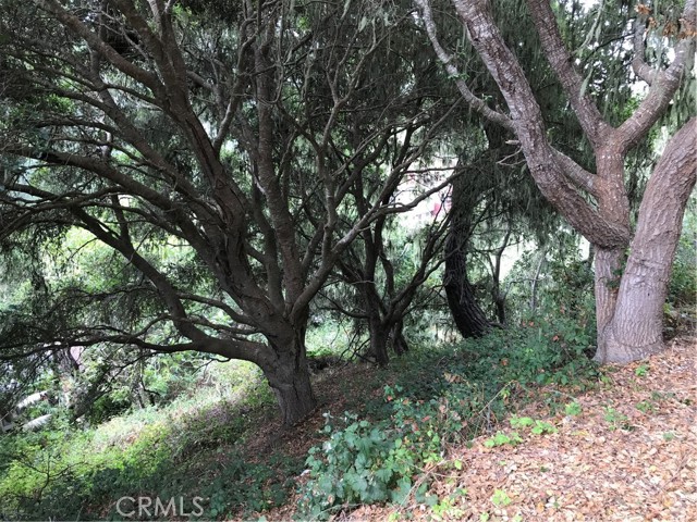 0 Hillcrest Drive, Cambria, California 93428, ,Land,For Sale,0 Hillcrest Drive,CRSC22073549