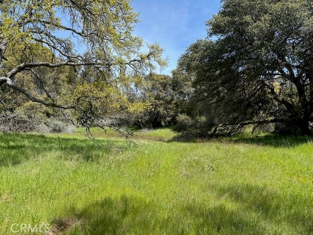 Detail Gallery Image 2 of 6 For 0 Highway 49 N, Mariposa,  CA 95338 - – Beds | – Baths