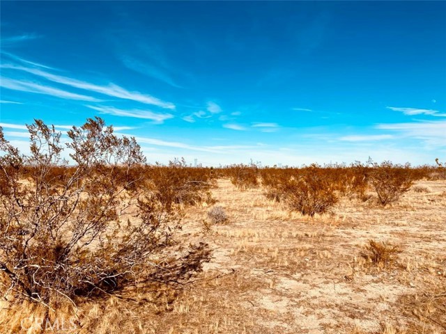 Detail Gallery Image 4 of 5 For 135 E 135 St E Ave, Pearblossom,  CA 93553 - – Beds | – Baths