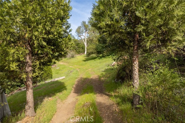 Detail Gallery Image 57 of 59 For 36919 Deer Path Cir, Coarsegold,  CA 93614 - 3 Beds | 2 Baths