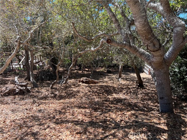 Detail Gallery Image 1 of 6 For 1845 Norwich Ave, Cambria,  CA 93428 - – Beds | – Baths