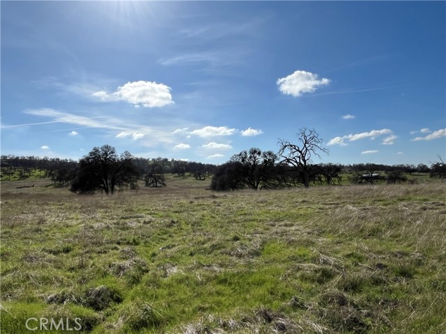 Detail Gallery Image 11 of 17 For 2463 Old Hwy, Catheys Valley,  CA 95306 - – Beds | – Baths