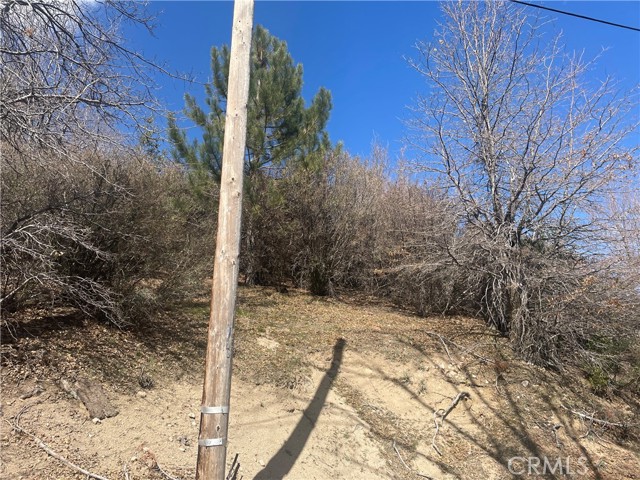 Detail Gallery Image 6 of 14 For 0 Pine Dr, Cedar Glen,  CA 92321 - – Beds | – Baths