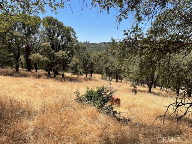 Detail Gallery Image 12 of 33 For 7607 White Oak Ln, Browns Valley,  CA 95918 - – Beds | – Baths