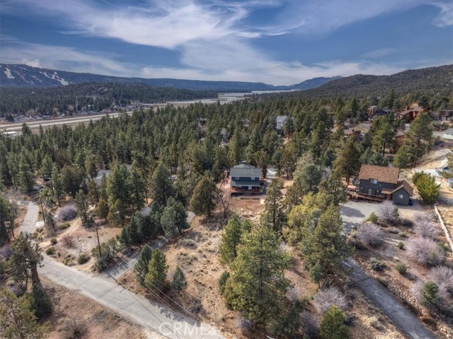 Detail Gallery Image 62 of 73 For 1051 Mound, Big Bear City,  CA 92314 - 4 Beds | 5 Baths