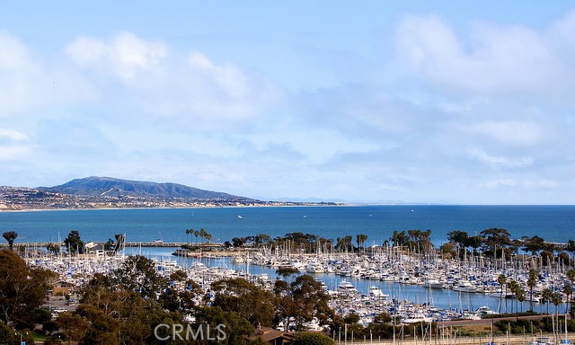 MLS #LG25245144 image #31