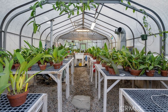 Award Winning Caleta Lily Green House