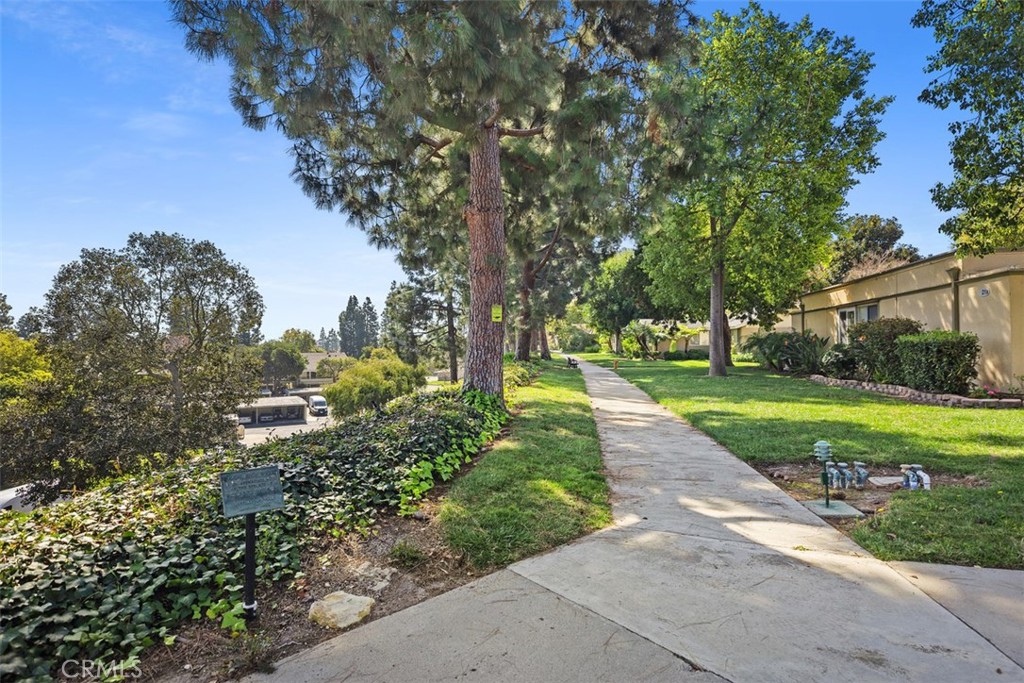 B11959e6 8281 46a5 9f7d A864b0cc0090