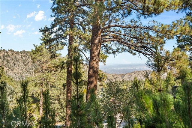 Detail Gallery Image 41 of 48 For 1764 Ash, Wrightwood,  CA 92397 - 4 Beds | 2/1 Baths