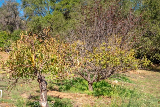 Detail Gallery Image 12 of 17 For 0 via Tornado, Temecula,  CA 92590 - – Beds | – Baths