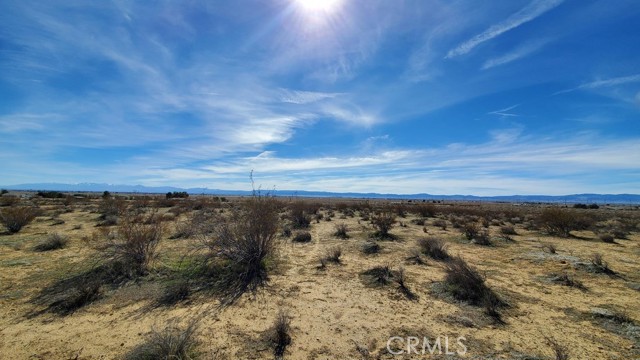 Detail Gallery Image 23 of 30 For 0 Rosamond Blvd & Kildeer St, Rosamond,  CA 93560 - – Beds | – Baths