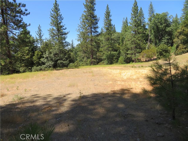 0 Barns Ranch Road, Covelo, California 95428, ,Land,For Sale,0 Barns Ranch Road,CRSN23031018