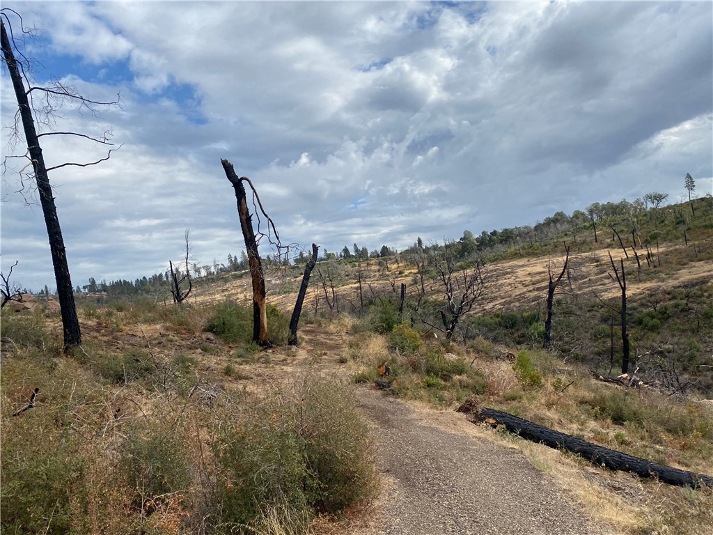 0 Mckale Road, Paradise, California 95969, ,Land,For Sale,0 Mckale Road,CRSN23072265