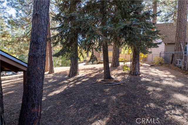 Detail Gallery Image 8 of 54 For 2242 Deep Creek Dr, Running Springs,  CA 92382 - 2 Beds | 2 Baths