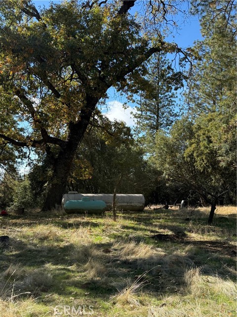 Detail Gallery Image 11 of 31 For 38088 Serpa Canyon Rd, Coarsegold,  CA 93614 - 3 Beds | 2 Baths