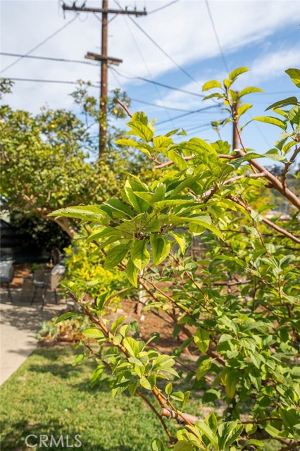 Detail Gallery Image 60 of 65 For 2050 North Eastern, Los Angeles,  CA 90032 - 2 Beds | 2 Baths