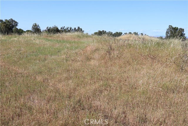 Detail Gallery Image 32 of 32 For 0 Carona Ave., Corning,  CA 96021 - – Beds | – Baths