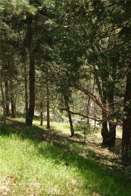 0 Thunderbird Drive, Lake Arrowhead CA: https://media.crmls.org/medias/b1473353-94f4-4fa3-84ac-c2de0ca57d40.jpg