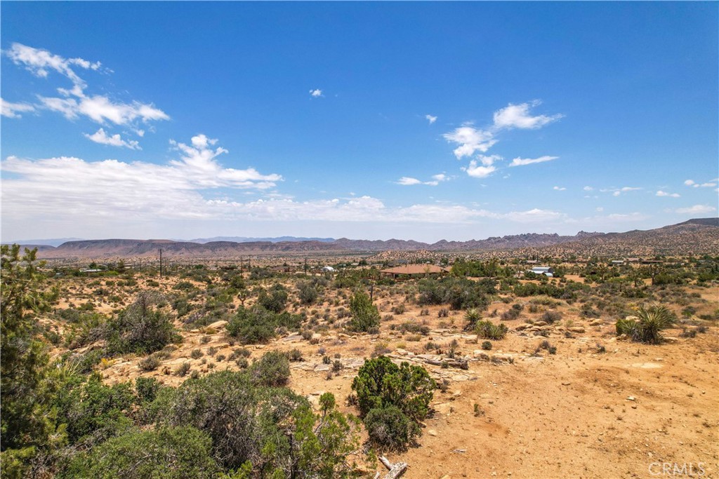 MLS #JT25246603 image #14