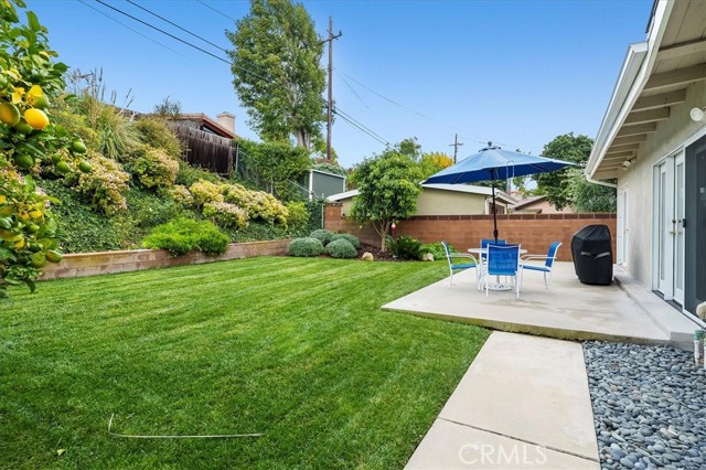 Large and flat grassy backyard!