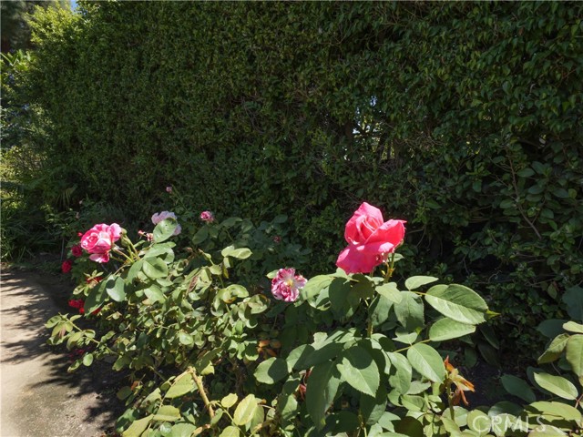 27424 Rainbow Ridge, Palos Verdes Peninsula, California 90274, 5 Bedrooms Bedrooms, 0 ,5 BathroomsBathrooms,Residential,For Sale,Rainbow Ridge,0,PV26185202