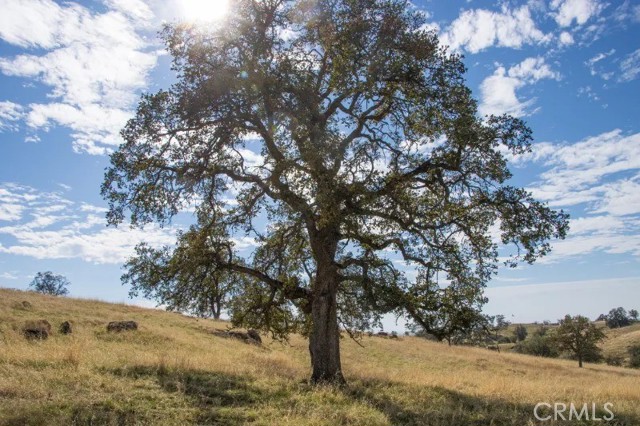 Detail Gallery Image 27 of 43 For 0 Millstream, Coarsegold,  CA 93614 - – Beds | – Baths