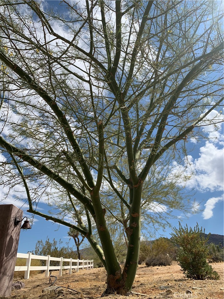 https://media.crmls.org/medias/b1650ed2-3f87-4195-8bba-73c229b28b57.jpg?preset=X-Large