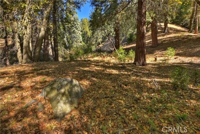 Detail Gallery Image 56 of 60 For 221 Sawpit Canyon Rd, Cedarpines Park,  CA 92322 - 4 Beds | 4 Baths