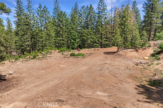 18727 Skyway, Stirling City CA: https://media.crmls.org/medias/b171c486-a246-44cb-90da-86006febade8.jpg